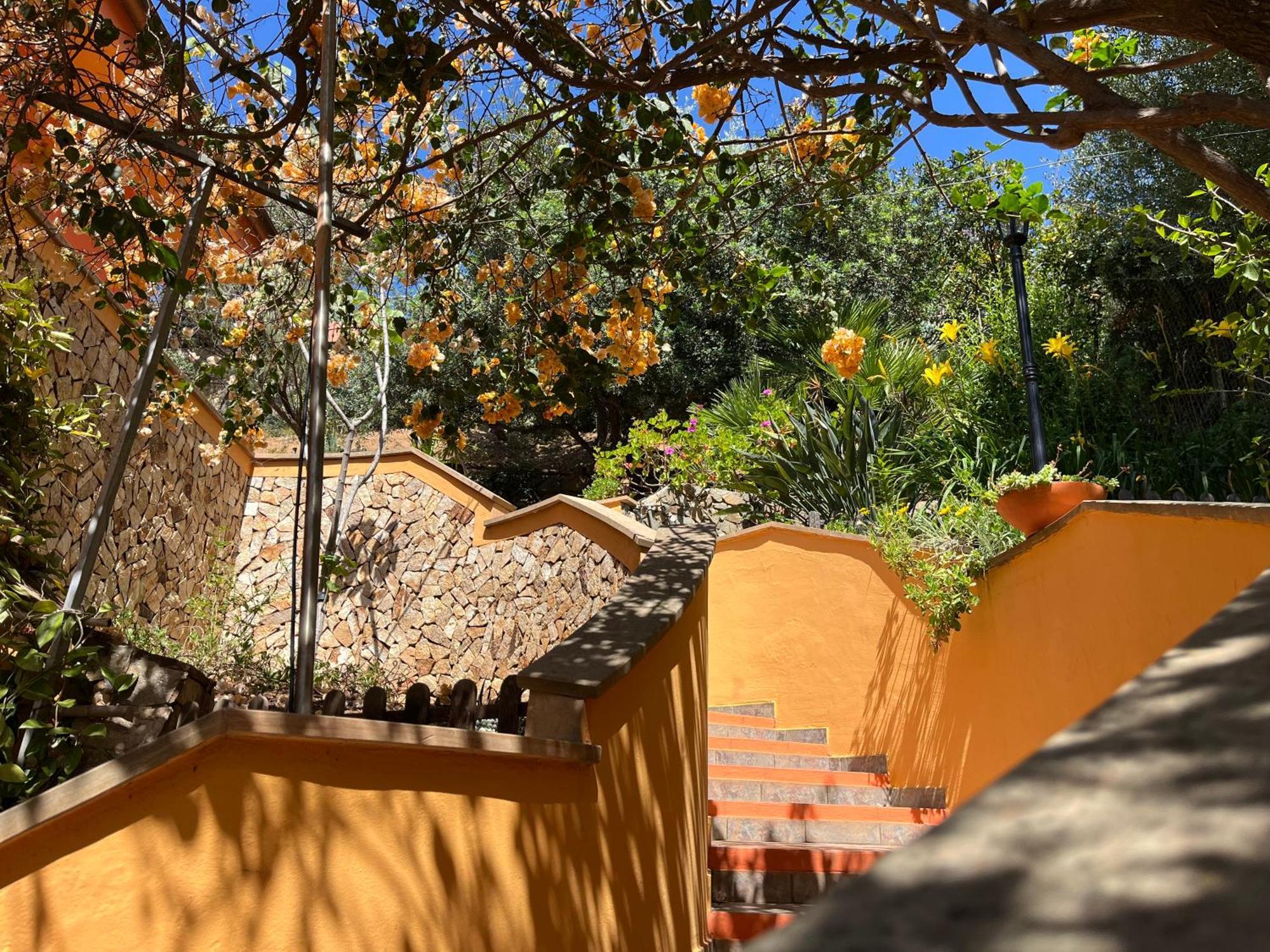 Villa Con Giardino Vista Mare Capitana Dış mekan fotoğraf